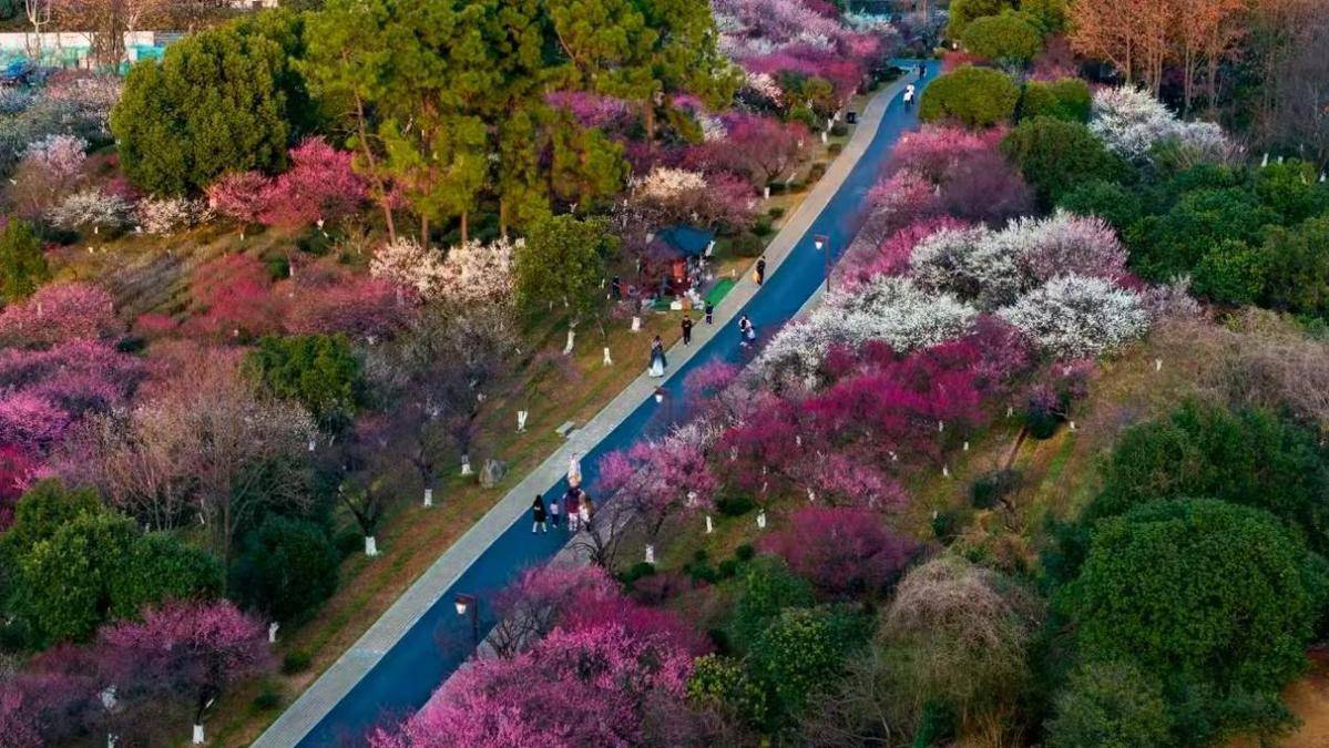 新春文旅系列活动深化融合赋能城市高质量发展开元棋牌app杭州临平区以“宋梅有约”启幕(图1)